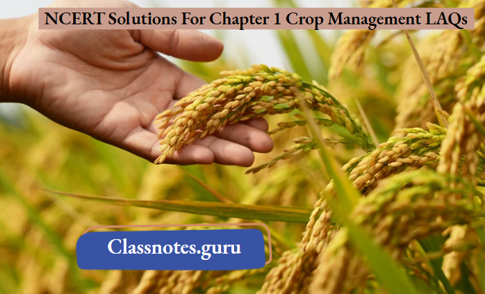 NCERT Solutions For Chapter 1 Crop Management LAQs