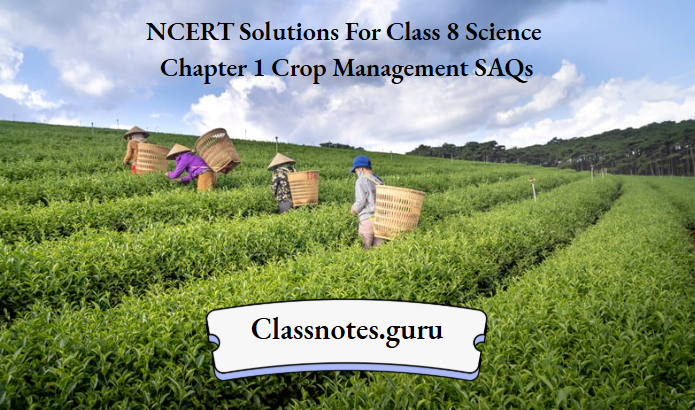 NCERT Solutions For Class 8 Science Chapter 1 Crop Management SAQs