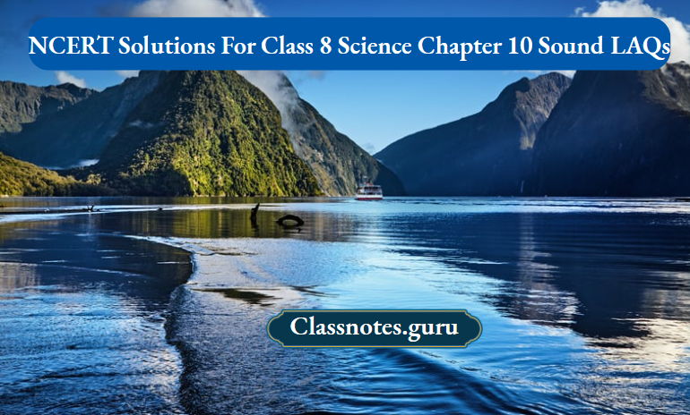 NCERT Solutions For Class 8 Science Chapter 10 Sound LAQs