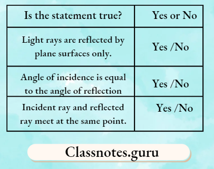 NCERT Solutions For Class 8 Science Chapter 13 Plane Mirror Reflection Statements