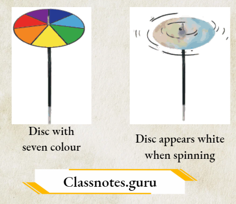 NCERT Solutions For Class 8 Science Chapter 13 multi-coloured disc