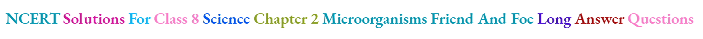 NCERT Solutions For Class 8 Science Chapter 2 Microorganisms Friend And Foe Long Answer Questions