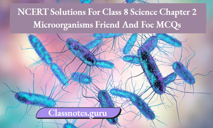 NCERT Solutions For Class 8 Science Chapter 2 Microorganisms Friend And Foe MCQs