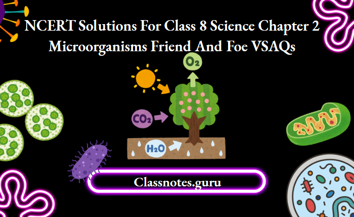 NCERT Solutions For Class 8 Science Chapter 2 Microorganisms Friend And Foe VSAQs