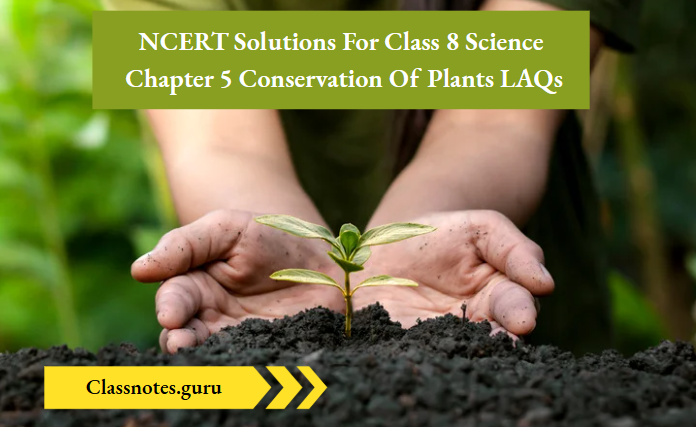 NCERT Solutions For Class 8 Science Chapter 5 Conservation Of Plants LAQs