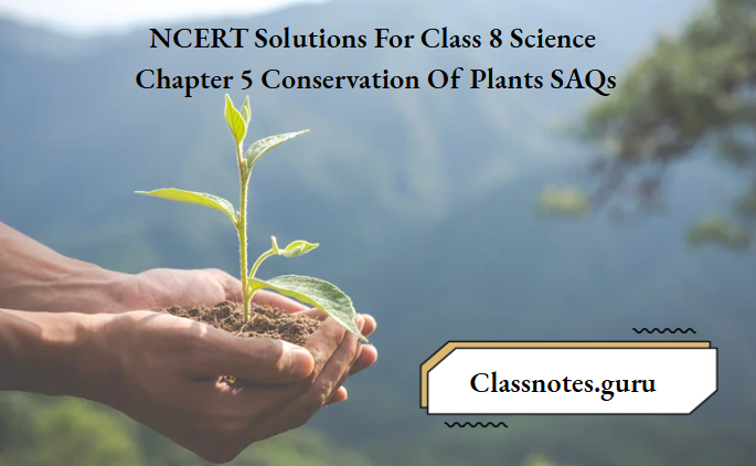 NCERT Solutions For Class 8 Science Chapter 5 Conservation Of Plants SAQs