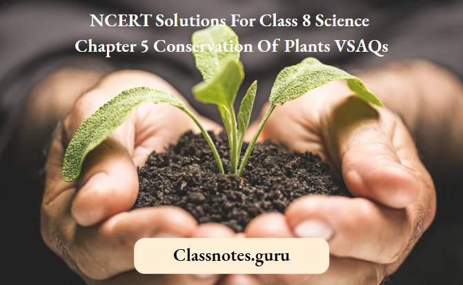 NCERT Solutions For Class 8 Science Chapter 5 Conservation Of Plants VSAQs