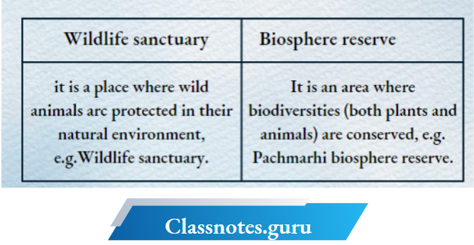 NCERT Solutions For Class 8 Science Chapter 5 Difference Between A Wildlife Sanctuary And A Biosphere Reserve