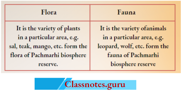 NCERT Solutions For Class 8 Science Chapter 5 Difference Between Flora And Fauna