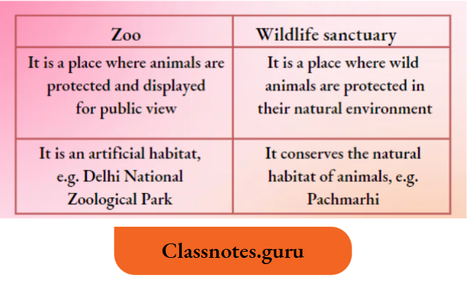 NCERT Solutions For Class 8 Science Chapter 5 Difference Between Zoo And A Wildlife Sanctuary