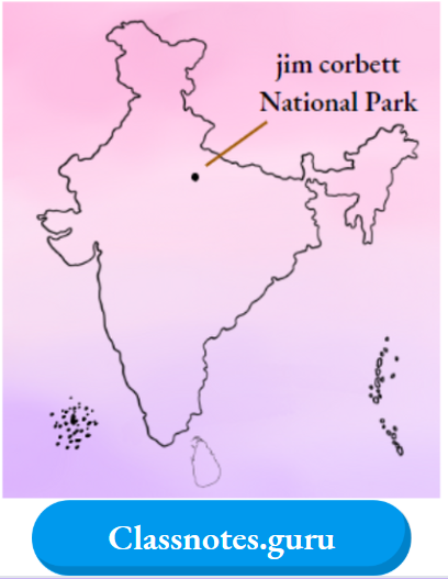 NCERT Solutions For Class 8 Science Chapter 5 Difference Jim Corbett National Park in Uttarakhand