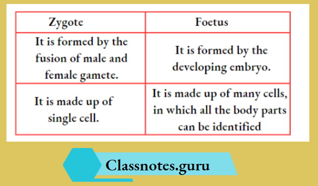 NCERT Solutions For Class 8 Science Chapter 6 Differences Between Zygote And Fetus