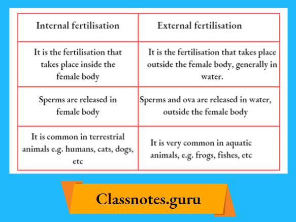 NCERT Solutions For Class 8 Science Chapter 6 Differentiate Between Internal Fertilisation And External Fertilisation