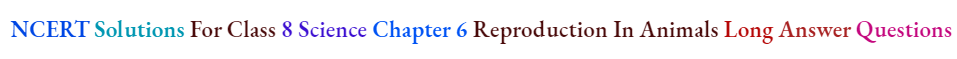 NCERT Solutions For Class 8 Science Chapter 6 Reproduction In Animals Long Answer Questions