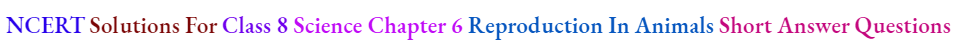 NCERT Solutions For Class 8 Science Chapter 6 Reproduction In Animals Short Answer Questions