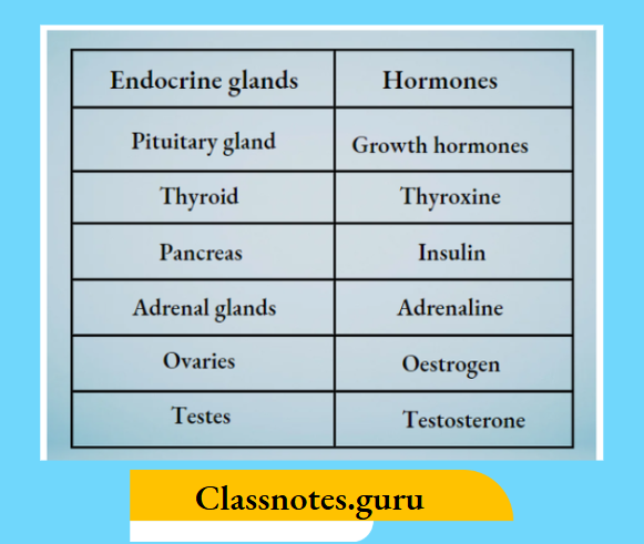 NCERT Solutions For Class 8 Science Chapter 7 Endocrine Glands And The Hormones