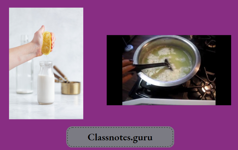 NCERT Class 8 Chemistry Chapter 2 Physical And Chemical Changes Curdling milk