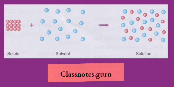 NCERT Class 8 Chemistry Chapter 2 Physical And Chemical Changes Intermolecular space of the solvent