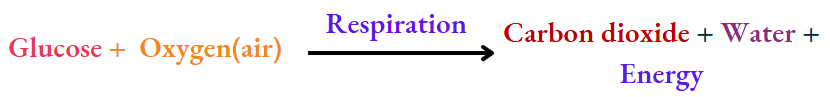 NCERT Class 8 Chemistry Chapter 2 Physical And Chemical Changes Respiration