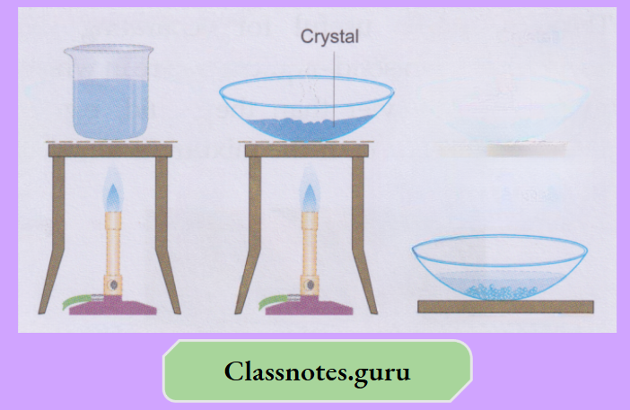 NCERT Class 8 Chemistry Chapter 3 Elements, Compounds And Mixtures Crystallisation of copper(II) sulphate pentahydrate