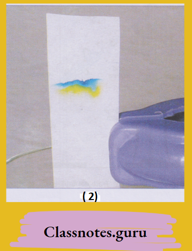 NCERT Class 8 Chemistry Chapter 3 Elements, Compounds And Mixtures Green sketch pen separates into blue and yellow