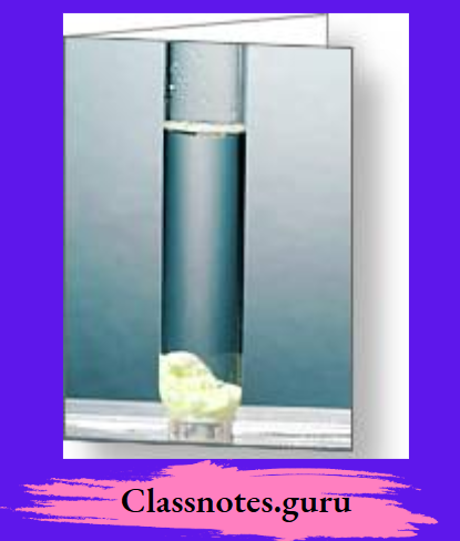 NCERT Class 8 Chemistry Chapter 3 Elements, Compounds And Mixtures Iron liberates hydrogen from dilute sulphuric acid