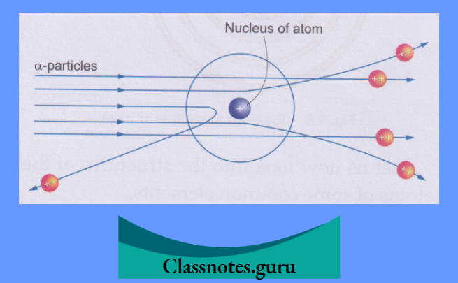 NCERT Class 8 Chemistry Chapter 4 The Structure Of The Atom Alpha Scattering on the basis