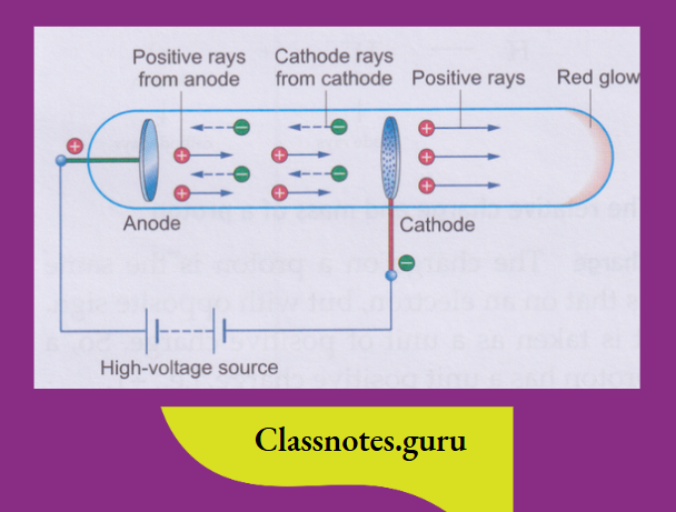NCERT Class 8 Chemistry Chapter 4 The Structure Of The Atom Anode rays