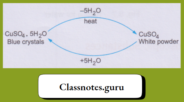 NCERT Class 8 Chemistry Chapter 8 Water Blue crystals and White powder