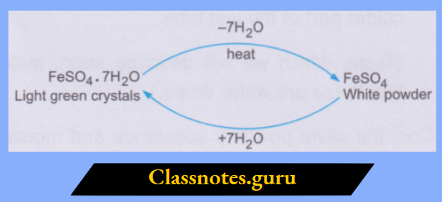 NCERT Class 8 Chemistry Chapter 8 Water Green crystals and white powder