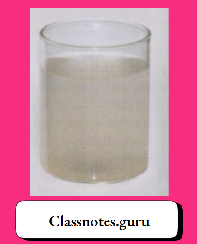 NCERT Class 8 Chemistry Chapter 8 Water Muddy water is a suspensison