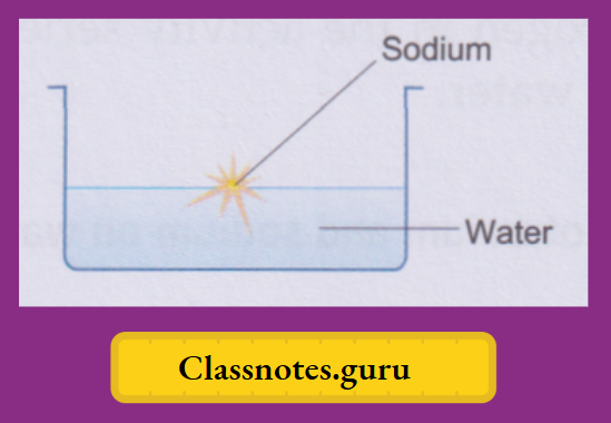 NCERT Class 8 Chemistry Chapter 8 Water Sodium reacts vigorously with cold water