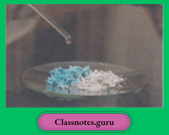 NCERT Class 8 Chemistry Chapter 8 Water Testing for water