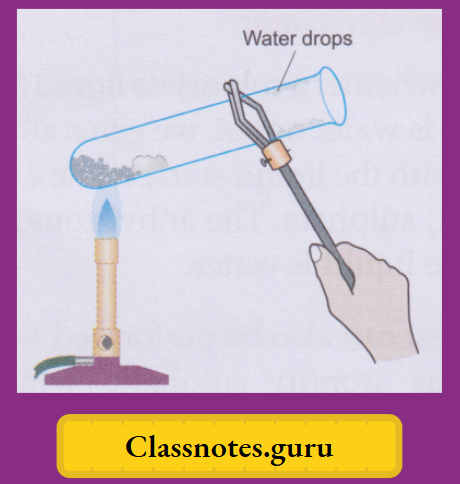 NCERT Class 8 Chemistry Chapter 8 Water The blue vitriol crystals