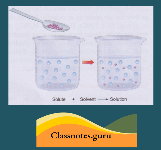 NCERT Class 8 Chemistry Chapter 8 Water molecule themselves in intermolecular space